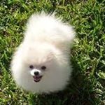 Profile Picture of Jesse Carver (@jessecarveraq) on Instagram