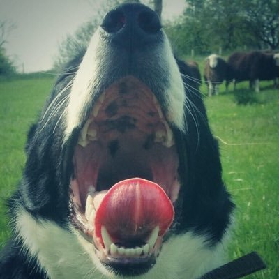 Profile Picture of Maya Steele (@myasteeleu) on Twitter