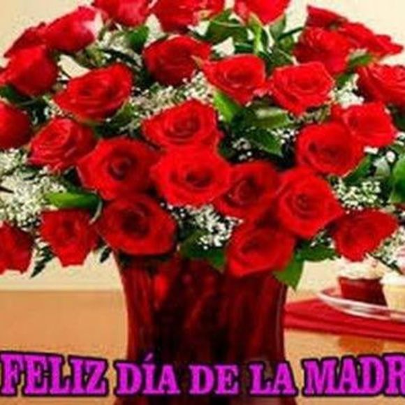 Profile Picture of Sugey Fraijo (@sugeyfraijo) on Poshmark