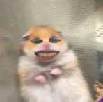 Lonzo Reaves - Facebook Profile Picture of Lonzo Reaves (@sk.mas.942) on Facebook