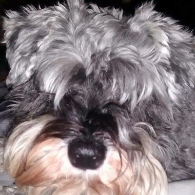 Profile Picture of Phuqdifino (@JeAnCrAvEn) on Twitter