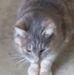 Profile Picture of Seth Ogle (@seth.ogle.925) on Facebook