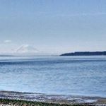 Profile Picture of David Aaron chastain (@weedisgreenlikemyeyes) on Instagram