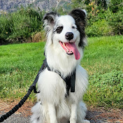 Profile Picture of Daniel Gannon (@dirtydanoverland9083) on Youtube