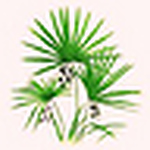 Profile Picture of Daniel Island Neighborhood Association (dina) (@daniel island neighborhood association (dina)) on Flickr