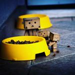 Profile Picture of Jared Hays (@hays.jared) on Instagram