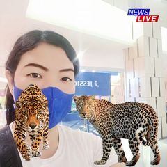 Profile Picture of Isabella Chow (@isabella.chow1) on Tiktok