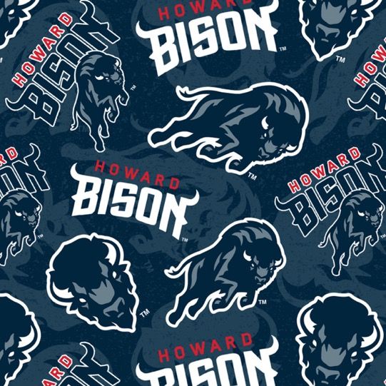 Profile Picture of HOWARD BISONS (@howard.bisons) on Tiktok