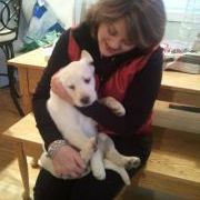 Profile Picture of Terrie Irvine Hudnut (@rydharpstella) on Pinterest
