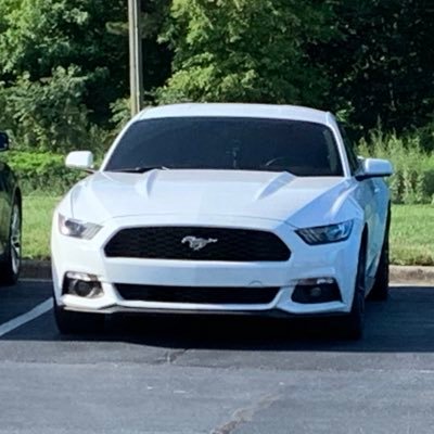Profile Picture of 4_Banger_Stang (@Jeremy81017676) on Twitter
