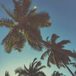 Profile Picture of mathilda:smith (@math_priv_) on Instagram