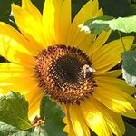 Profile Picture of Michael Tausch (@michael.tausch.5) on Instagram