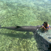 Profile Picture of Stephanie Restrepo (@StephanieRestrepo) on Youtube