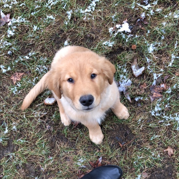 Chloe Rafinski - Poshmark Profile Picture of Chloe Rafinski (@chloerafinski) on Poshmark