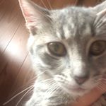 Profile Picture of Dylan Scott Otwell (@dillpickle_2005) on Instagram