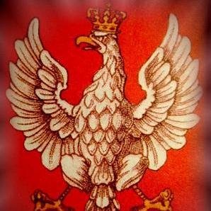 Profile Picture of Robert Bartków  🇵🇱 💯 (@RBartkow) on Twitter