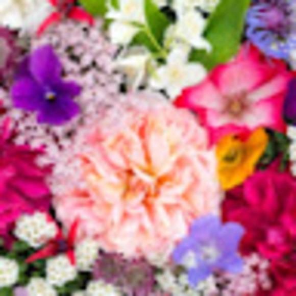 Profile Picture of Natasha Rancourt (@rannat06) on Poshmark