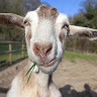 Profile Picture of Cody Keele (@cody-keele) on Quora