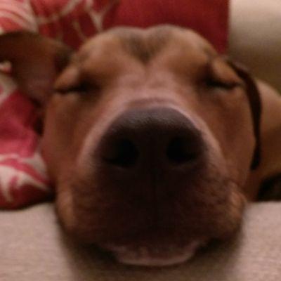 Profile Picture of Natalie Benson (@nataliebenson77) on Twitter