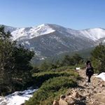 Profile Picture of Sonia Almodovar (@sonya.almodovar) on Instagram