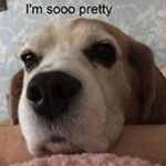 Profile Picture of Stuart Hemming (@sejhemming) on Instagram