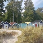 Profile Picture of Anja Hamann Baumgart (@anjahamannbaumgart) on Instagram