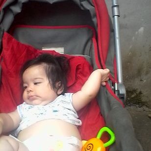 Profile Picture of Jose Gregorio Molina Carrera (@JoseGre55535087) on Twitter