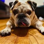 Profile Picture of Gavin Anspach (@gavin.anspach.10) on Facebook