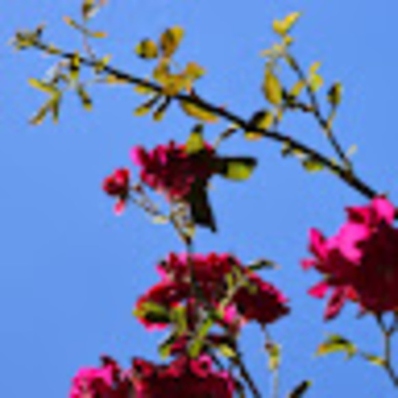 Profile Picture of Gerald Kreidler (@applecidergk) on Poshmark