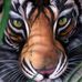 Profile Picture of Max Hiller (@max.binabalo) on Facebook