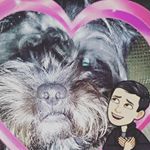 Profile Picture of Cesar Preciado (@ayecesarr) on Instagram