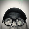 Profile Picture of Steve Hayhurst (@egb_bueno) on Flickr