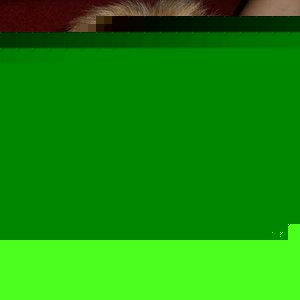 Profile Picture of Júlia Černá (@383695882) on Myspace