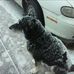 Profile Picture of Chris Whitcomb (@chris.whitcomb.7334) on Facebook