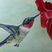 Profile Picture of donald hebert (@woodybare8) on Pinterest
