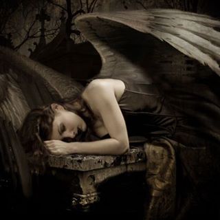 Profile Picture of Iris Volk (@iris.volk) on Facebook