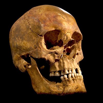 Profile Picture of Alex Belous  🇩🇪 (@AlexGreyBetter) on Twitter