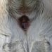Profile Picture of Peter Goodman (@peter.goodman.940) on Facebook