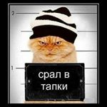 Profile Picture of Альберт Эппингер (@alberteppinger) on Instagram