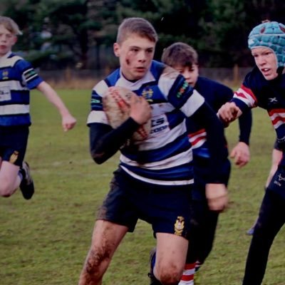 Profile Picture of Tom Melling (@TomMelling5) on Twitter