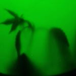 KronicUndine - Instagram Profile Picture of KronicUndine (@daniel.salvati.503) on Instagram