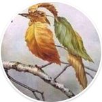 Profile Picture of weak leaf (@weakleaf3) on Instagram