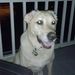 Profile Picture of Ben Unger (@bjunger84) on Pinterest