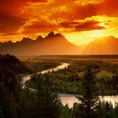 Profile Picture of Alex Blau (@AlexBlauwer) on Twitter