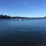 Profile Picture of Sukram (@sukram28193) on Instagram