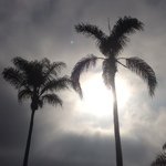 Profile Picture of James Macklem (@loser0100) on Instagram