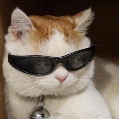 Profile Picture of John Pito (@pingorei) on Twitter