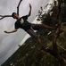 Profile Picture of Alexander Wright (@alexander.wright.5473) on Facebook