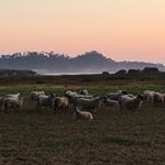 Profile Picture of Craig Krull (@craigkrull) on Instagram