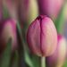 Profile Picture of Leah Best (@LeahBestDesign) on Pinterest